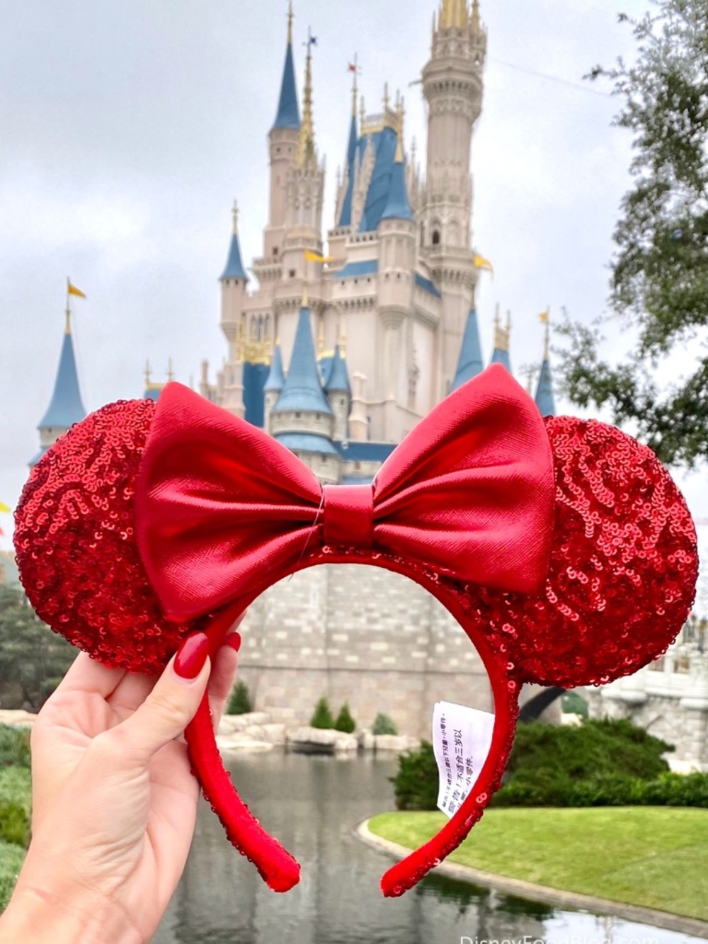 Red glitter Disney ears